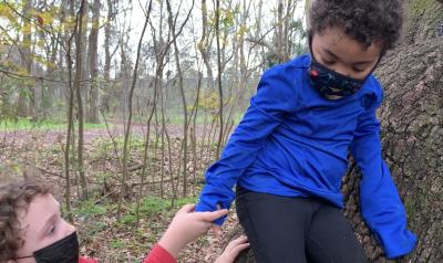 children climbing a tree