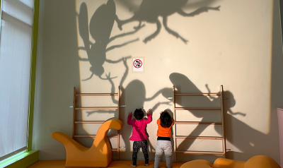 children observing shadows of insects on the wall