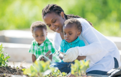 Mom helping toddler sons plant garden